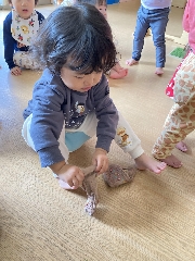つくし組だより☆彡